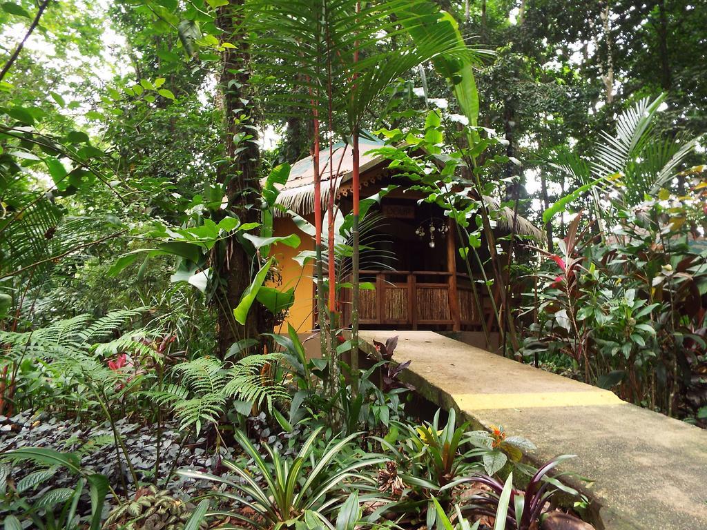 Korrigan Lodge Cahuita Værelse billede