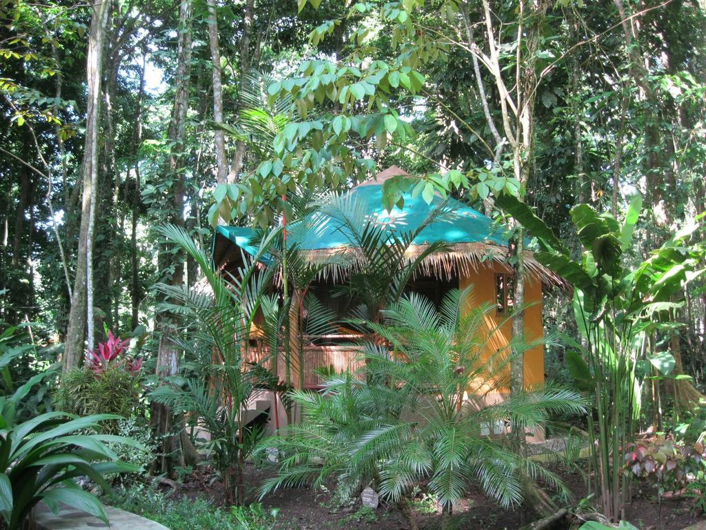 Korrigan Lodge Cahuita Værelse billede