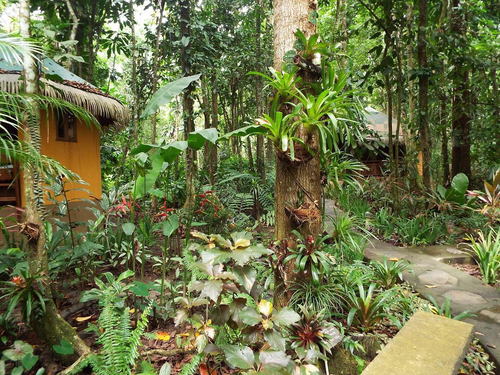 Korrigan Lodge Cahuita Eksteriør billede