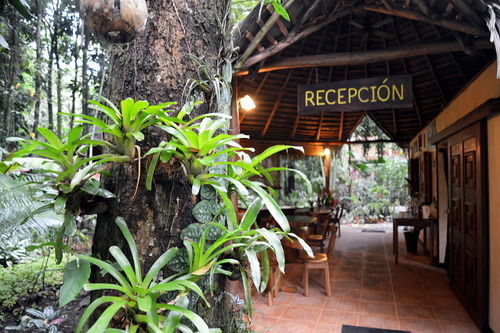 Korrigan Lodge Cahuita Eksteriør billede
