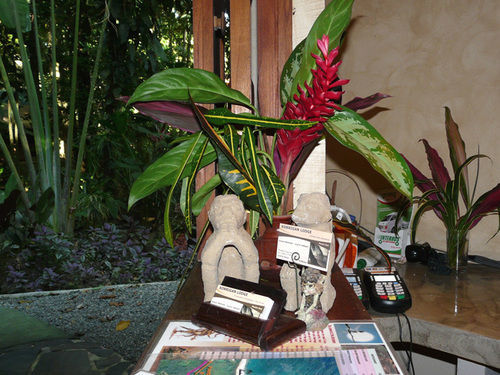Korrigan Lodge Cahuita Eksteriør billede