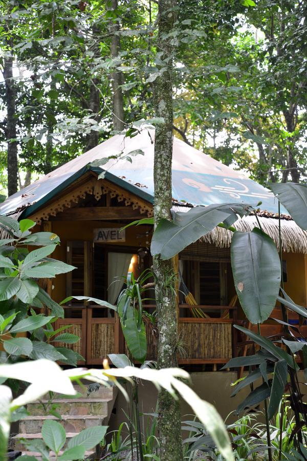 Korrigan Lodge Cahuita Værelse billede